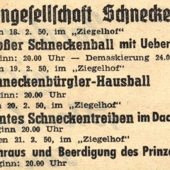 Das Schneckenbürgler Fasnachtsprogramm im Ziegelhof.