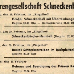 Das Schneckenbürgler Fasnachtsprogramm im Ziegelhof.