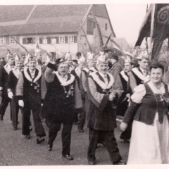 Fasnachtssonntag: Umzug auf der Reichenau.