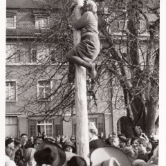 Schmutziger Donnerstag: Auch die Balletteuse Elli Bischoff, diesmal als Hexe verkleidet, versuchte auf dem Baum zu kommen.
