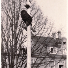 Schmutziger Donnerstag: Fritz Ehrler war wieder als erster auf dem Baum.