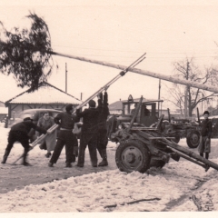 Schmutziger Donnerstag: Das Stellen des Baumes. Immer ein Erlebnis.