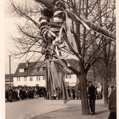 Schmutziger Donnerstag: Das Narrenbaumstellen beginnt.