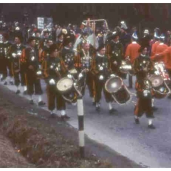 Umzug in Wollmatingen: Der Fanfarenzug war auch dabei.