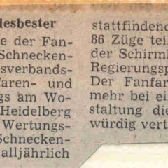 Fanfarenzug Schneckenburg Landesbester.
