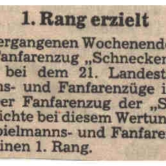 Der Fanfarenzug hat erster Rang erzielt.