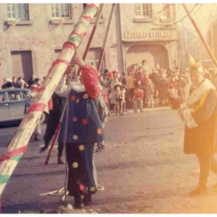 Schmutziger Donnerstag: Der Baum wird traditionell mit Schwalben gestellt.