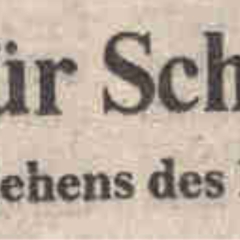 60 Jahre Schneckenburg: Ordensregen für die Schneckenbürgler.
