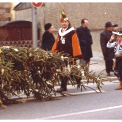 Schmutziger Donnerstag: Elfer Oskar Bürger bewacht die Spitze des Narrenbaumes beim Umzug durch Petershausen.