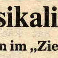 11.11. der Schneckenburg: Südkurier-Bericht.