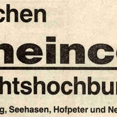 Fasnacht im Seerheincenter: Zeitungsartikel.