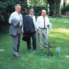 40 Jahre Elferrat: Begutachtung des Schneckenburg-Bäumchens.