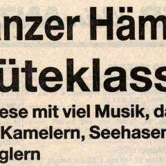 Narrenkonzerte im Konzil: Zeitungs-Artikel.