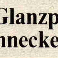 11.11. in der Handwerkskammer: Zeitungs-Artikel.
