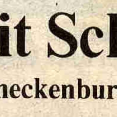 1. Fasnacht mit dem Schneckenbürgler Schneeschreck: Langsam lernte man sie kennen.