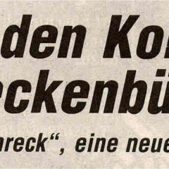 Der Schneeschreck im Südkurier.