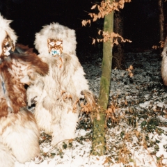 Schneeschreckerwachen: Schneeschrecken in der Nacht.