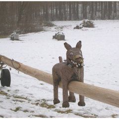 Narrenbaumholen in Hegne: Der Hund bewacht den Baum.