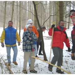 Narrenbaumholen in Hegne: Die Elferräte beim Räppeln des Baumes.