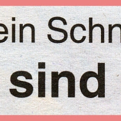 Narrenbaumstellen auf dem Gottmannplatz: Zeitungsartikel.