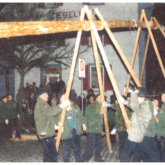 Narrenbaumstellen auf dem Gottmannplatz: Die Allensbacher Holzer stellen den Baum.