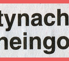 Fasnachtsparty im Rheingold: Zeitungsartikel.