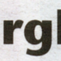 Das neue Narrenbaumloch: Zeitungsüberschrift.