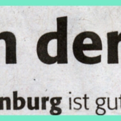 Das neue Narrenbaumloch: Zeitungsüberschrift.