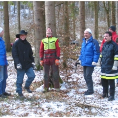 Narrenbaumholen in Hegne: Zuerst mußte der richtige Baum gewählt werden.