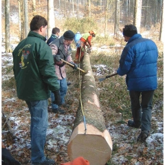 Narrenbaumholen in Hegne: Fleißige Hände reppelten den Baum.