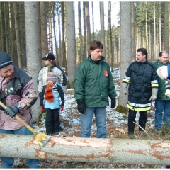 Narrenbaumholen in Hegne: Fleißige Hände reppelten den Baum.