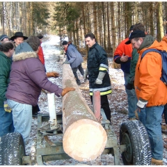 Narrenbaumholen in Hegne: Dann konnte der Baum aufgeladen werden.