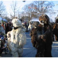 Umzug auf der Reichenau: Der Schneeschreck war dabei.