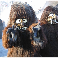 Umzug auf der Reichenau: Der Schneeschreck war dabei.