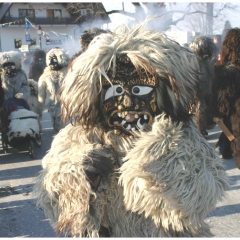 Umzug auf der Reichenau: Der Schneeschreck war dabei.