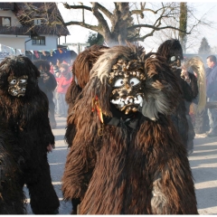 Umzug auf der Reichenau: Der Schneeschreck war dabei.