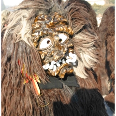 Umzug auf der Reichenau: Der Schneeschreck war dabei.