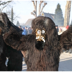 Umzug auf der Reichenau: Der Schneeschreck war dabei.