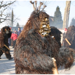 Umzug auf der Reichenau: Der Schneeschreck war dabei.