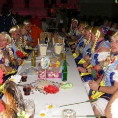 Die Schneckenburg als "Heidi" beim Blätzleball.