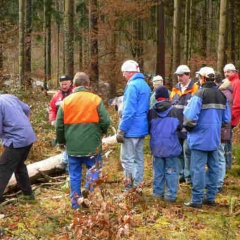 Narrenbaumholen in Hegne: Die Elferräte beim Reppeln des Baumes.