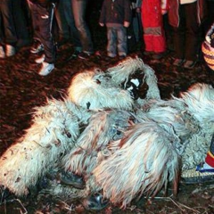 Schneeschreckerwachen: Im Fell konnte man sich ungehemmt im Dreck wälzen.