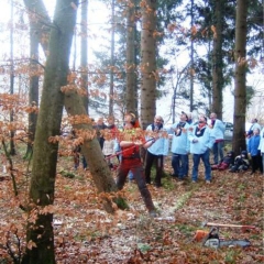 Narrenbaumholen in Hegne: Beim Zweiten klappte es besser.