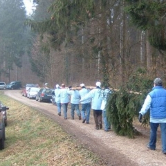 Narrenbaumholen in Hegne: Der kleinere Teil konnte getragen werden.