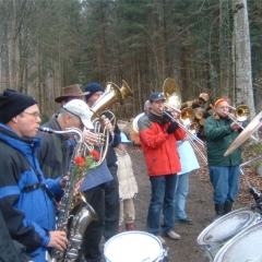 Narrenbaumholen in Hegne: Nach dem Fällen spielte die Clowngruppe.