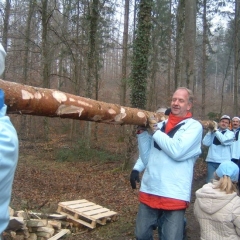 Narrenbaumholen in Hegne: Der kleinere Teil konnte getragen werden.