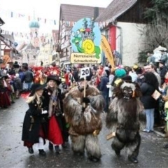 Sonntags-Umzug in Allensbach: Am Sonntag Mittag waren die Schneckenbürgler wieder dabei.