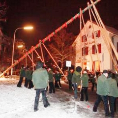 Narrenbaumstellen auf dem Gottmannplatz: Der Baum wurde wieder von den Allensbacher Holzern gestellt.