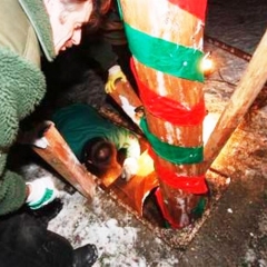 Narrenbaumstellen auf dem Gottmannplatz: Der Baum wurde wieder von den Allensbacher Holzern gestellt.