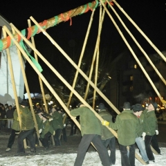 Narrenbaumstellen auf dem Gottmannplatz: Der Baum wurde wieder von den Allensbacher Holzern gestellt.